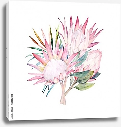 Постер Акварельный букет тропических цветов