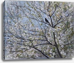Постер Эдиналл Рут (совр) Blackbird Singing in Cherry Blossom