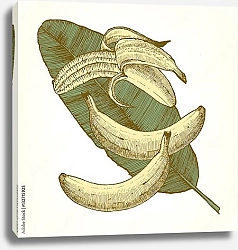 Постер Бананы на пальмовом листке