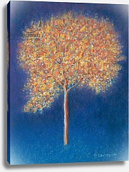 Постер Дэвидсон Питер (совр) Tree in Blossom, 1997