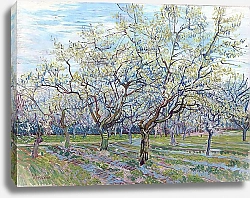 Постер Ван Гог Винсент (Vincent Van Gogh) Сад с цветущими сливовыми деревьями, 1888