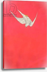 Постер Хейворд Тим (совр) Pink Swoop; Gyr Falcon