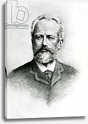 Постер Piotr Ilyich Tchaikovsky