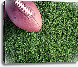 Постер Мяч для рэгби на зелёной траве