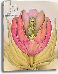 Постер Андерсон Уэйн The Tulip Burst Open With a Pop, 1991