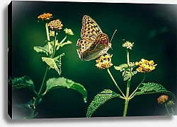 Постер Желтая бабочка на желтом цветке