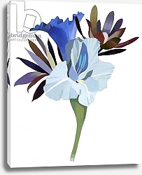 Постер Хируёки Исутзу (совр) blue  petals
