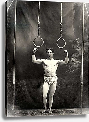 Постер Portrait of a circus strongman, 1885