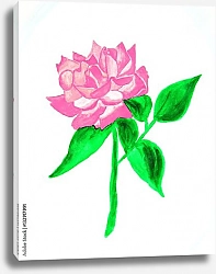 Постер Розовый цветок с яркими зелеными листьями на белом