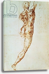 Постер Микеланджело (Michelangelo Buonarroti) Nude, study for the Battle of Cascina