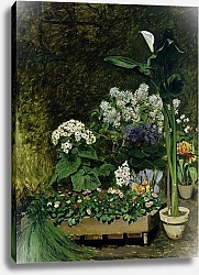 Постер Ренуар Пьер (Pierre-Auguste Renoir) Flowers in a Greenhouse, 1864