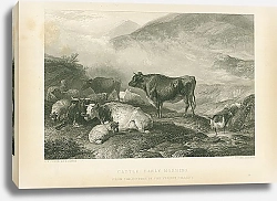 Постер Cattle: Early Morning