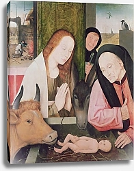 Постер Босх Иероним Adoration of the Child