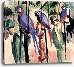 Постер Макке Огюст (Auguste Maquet) Blue Parrots