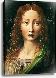 Постер Леонардо да Винчи (Leonardo da Vinci) Head of the Saviour