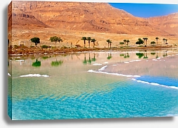 Постер  Мертвое море, побережье с пальмами и горы на фоне