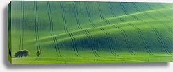 Постер Панорамный вид на зелёные поля в красивых полосатых холмах