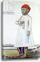 Постер Школа: Индийская 18в Portrait of a Notable, c.1780-1790