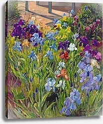 Постер Истон Тимоти (совр) Irises and Summer House Shadows, 1996