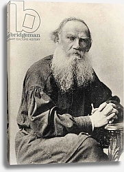 Постер Картины Leo Tolstoy - portrait