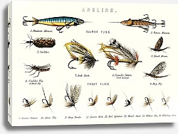 Постер Рыболовные приманки на британских пресноводных рыб (1879)