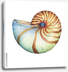 Постер Морская ракушка Наутилус