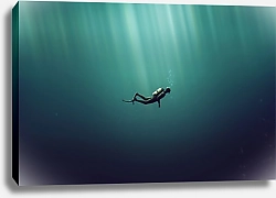 Постер Дайвер в море