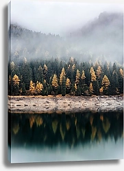 Постер Осенний лес в отражении воды