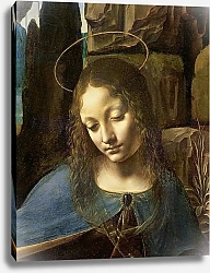 Постер Леонардо да Винчи (Leonardo da Vinci) Detail of the Head of the Virgin, from The Virgin of the Rocks, c.1508