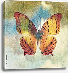 Постер Оранжевая бабочка на фоне неба в стиле ретро