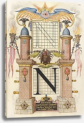 Постер Хофнагель Йорис Guide for Constructing the Letter N
