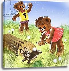 Постер Филлипс Уильям (дет) Teddy Bear 333
