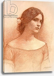 Постер Уотерхаус Джон Study for 'The Lady Clare', c.1900