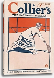 Постер Пенфилд Эдвард Collier's, the national weekly, Eagle Shannon ropes one by Richard Washburn Child
