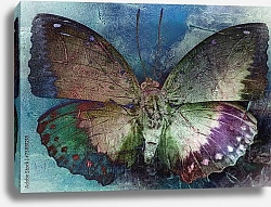 Постер Разноцветная бабочка в стиле ретро