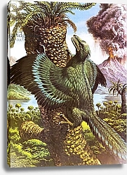 Постер Пэйн Роджер Archaeopteryx