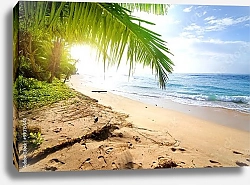 Постер Пальмовый пляж