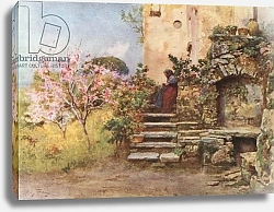 Постер Пиза Альберто Garden at Monte San Giuliano