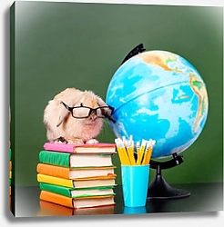 Постер Кролик в очках, сидящий на книгах в классе
