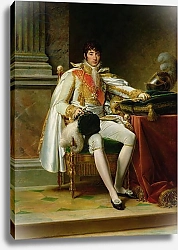 Постер Жерар Франсуа Louis Bonaparte 1806