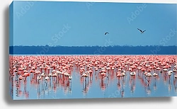Постер Озеро розовых фламинго