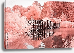 Постер Мост на розовом озере