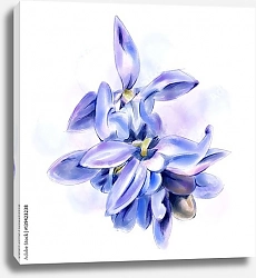 Постер Акварельные голубые цветы
