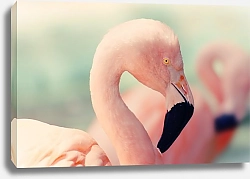 Постер Розовый фламинго в профиль 1