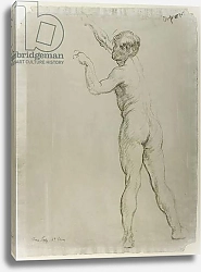 Постер Орпен Уильям Сэр Male Nude Standing