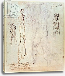 Постер Микеланджело (Michelangelo Buonarroti) Anatomical drawings with accompanying notes
