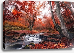 Постер Водопад в осеннем лесу