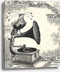 Постер Птица и граммофон