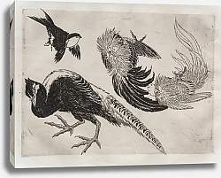 Постер Бракемон Феликс Dinner Service; Pheasants and bird