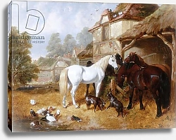 Постер Херринг Джон Horses in a Farmyard